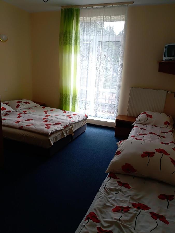 Osrodek Wypoczynkowy Ognisko Hotel Krynica Exterior foto